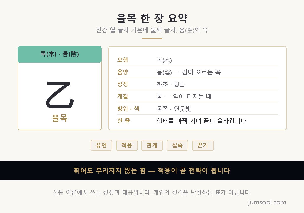 을목 일간의 오행 음양 상징 계절 방위 색과 핵심어를 한 장에 정리한 요약 카드 도해