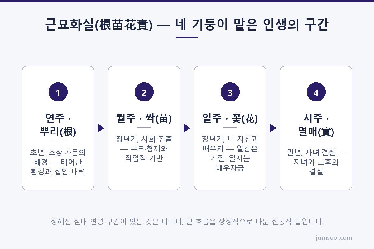 근묘화실(根苗花實) — 네 기둥이 맡은 인생의 구간 (여덟 글자에도 자리가 있다 도해)