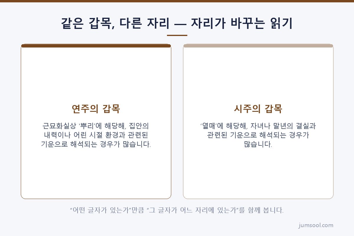 같은 갑목, 다른 자리 — 자리가 바꾸는 읽기 (여덟 글자에도 자리가 있다 도해)