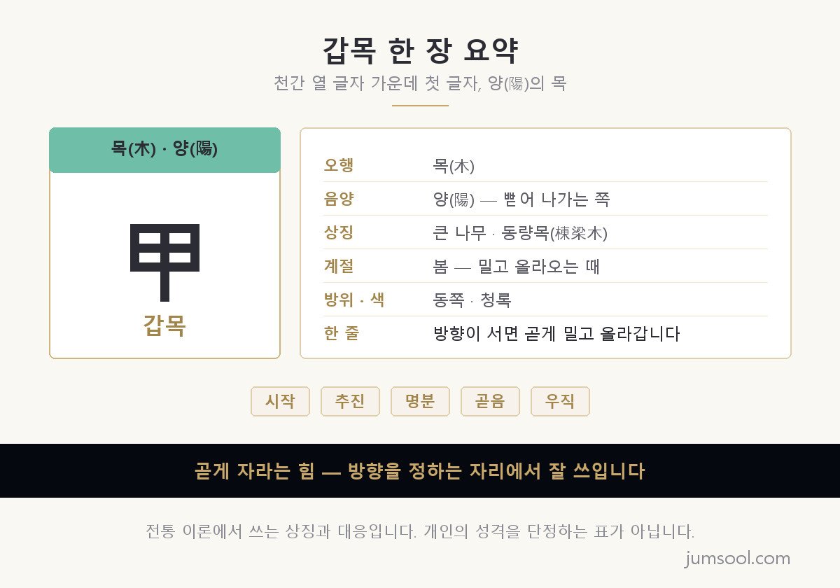 갑목 일간의 오행 음양 상징 계절 방위 색과 핵심어를 한 장에 정리한 요약 카드 도해