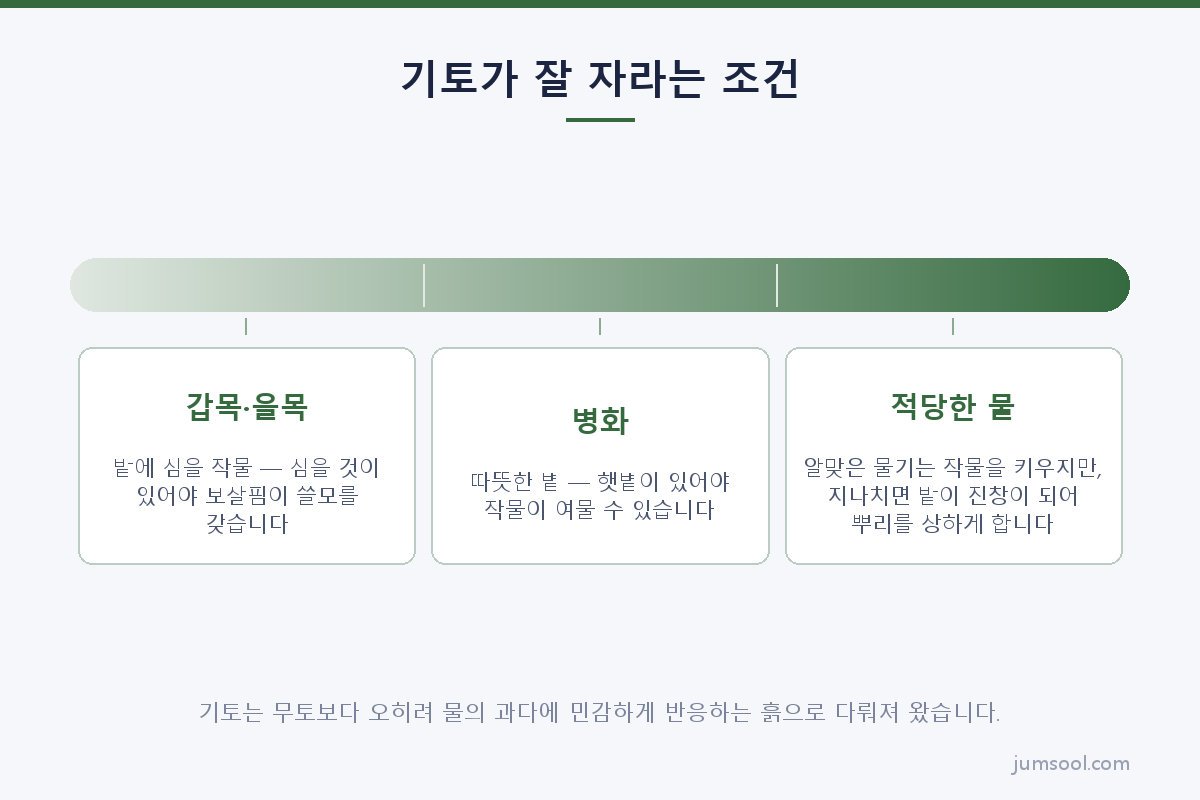 기토가 잘 자라는 조건 (기토(己土) 일간 도해)