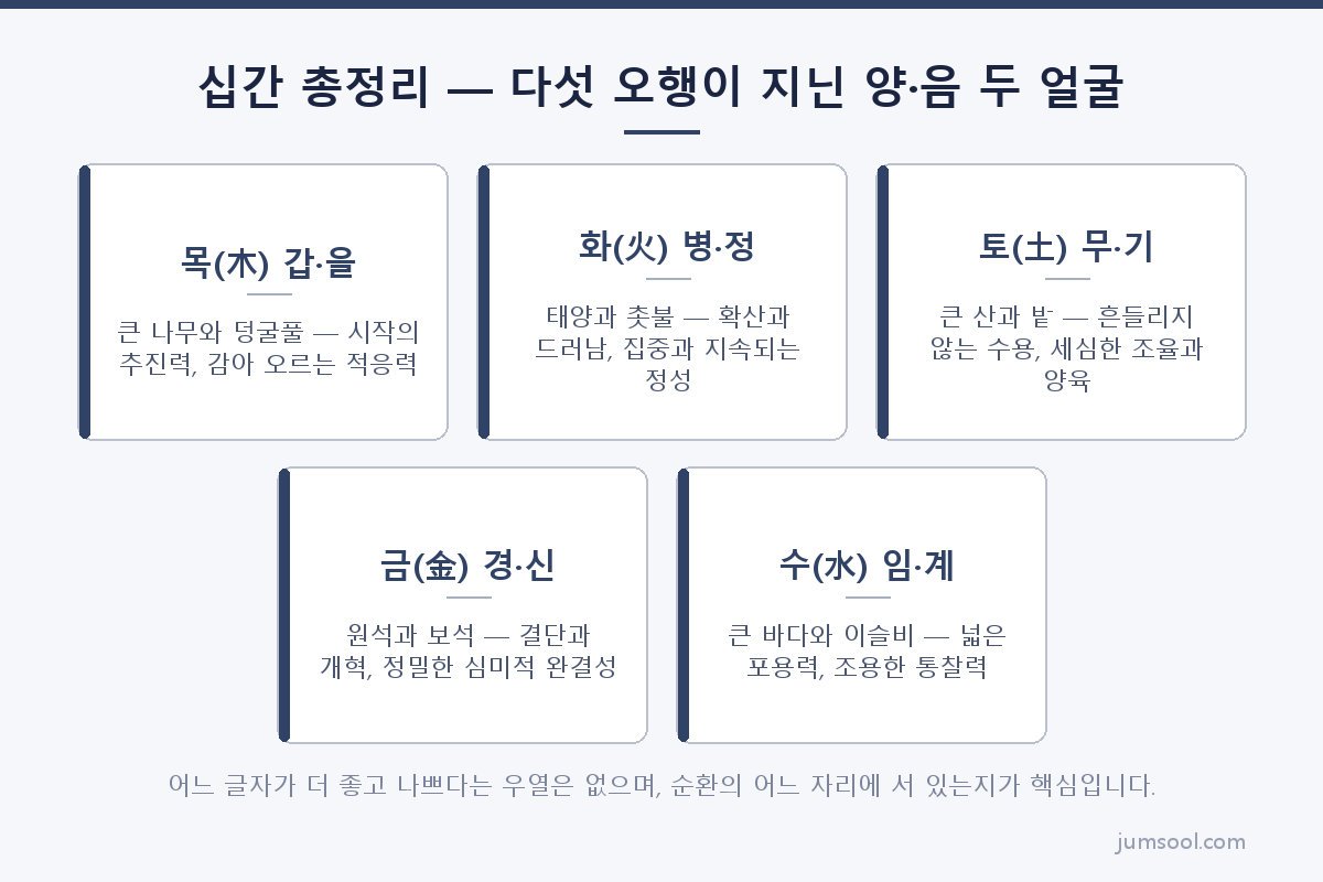 십간 총정리 — 다섯 오행이 지닌 양·음 두 얼굴 (계수(癸水) 일간 도해)