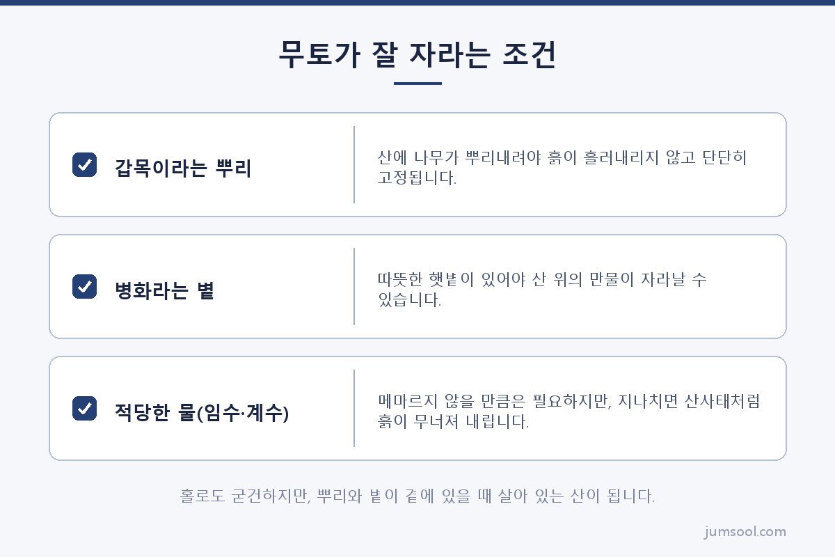 무토가 잘 자라는 조건 (무토(戊土) 일간 도해)